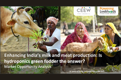 Enhancing India’s Milk and Meat Production: Is Hydroponics Green Fodder the Answer?