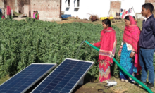 Scale Up Micro Solar Pumps to Make Farms ‘Diesel Free’ by 2024